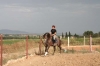 Arbeit mit Pferd